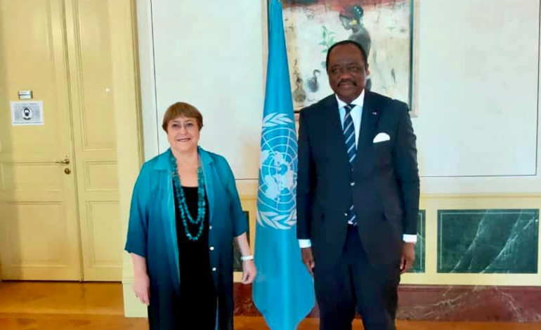 Un &eacute;missaire du Cameroun re&ccedil;u par Mich&egrave;le Bachelet
